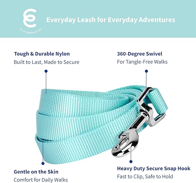 Blueberry Pet Essentials Mint Blue Dog Leash for Small -5' * 5/8" Dogs | Heavy Duty Nylon Lead | Lightweight Puppy & Cat Leash for Walking & Training