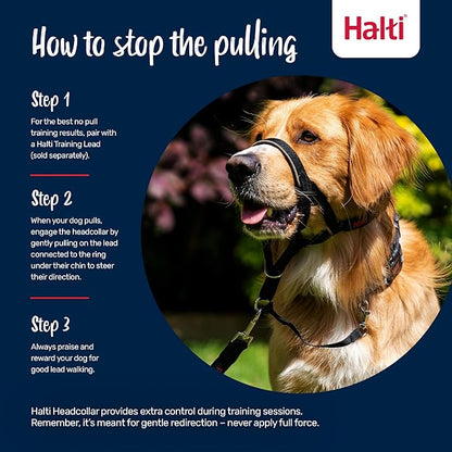 Halti Headcollar - Stop Your Dog Pulling on The Leash. Adjustable, Reflective and Lightweight, with Padded Nose Band. Dog Training Anti-Pull Collar for Medium Dogs (Size 2, Red)
