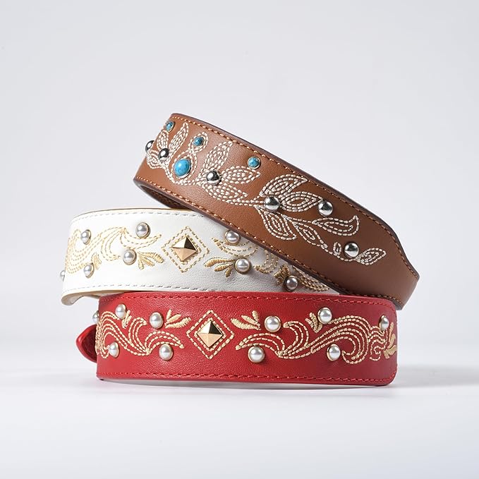 Blueberry Pet Western Dog Collar in Canyon Brown - 12-15 Inch Necks Floral-Embroidered Leather with Turquoise Studs, Dog Collars for Small Dogs, Adjustable Leather Girl Dog Collar