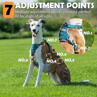 Huntboo Escape Proof Dog Harness – No Pull, No Slip, Fully Reflective, Adjustable 7-Point Design for Small, Medium, and Large Dogs – Lightweight for Outdoor Training & Hiking (Teal, XL)
