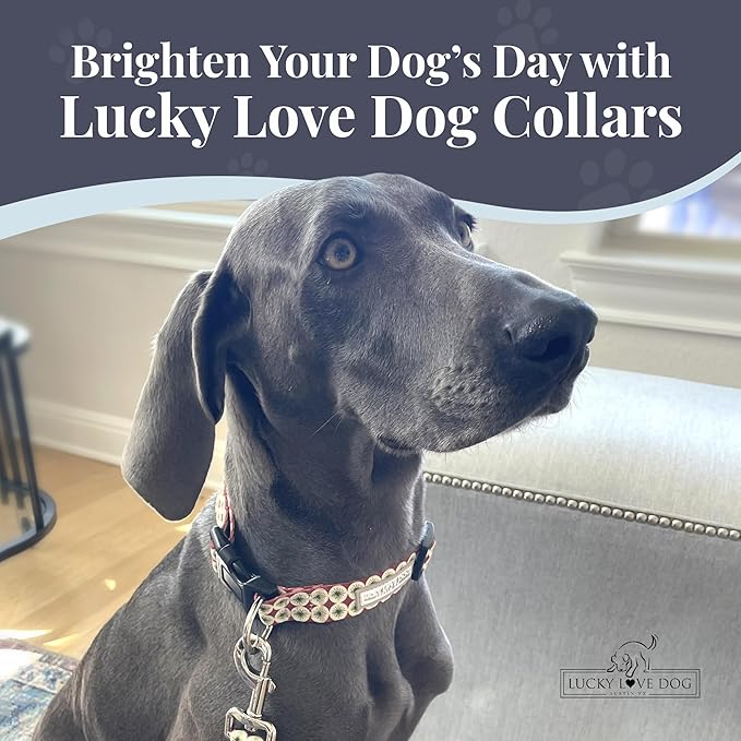 Lucky Love Dog - Easy Click Buckle Dog Collar with Leash Set Combo, Durable & Comfortable for Male & Female Dogs, Pet Collar for Medium Dogs, Secure Fit - Pongo Combo, Medium