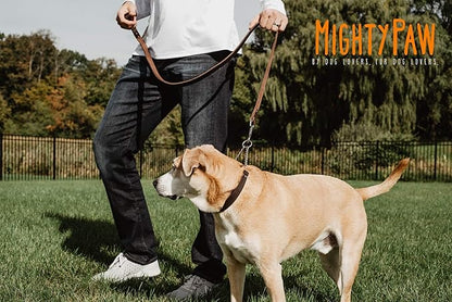 Mighty Paw Martingale Dog Collar - No Pull Design - Stainless Steel Chain - Limited Chain Cinch Training - Brown Leather Martingale Training Collar - Large Size