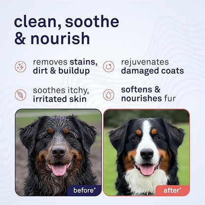 Petpost | Oatmeal & Chamomile Dog Shampoo. Soothes Dry, Sensitive Skin, Moisturizes & Softens Coat with Aloe & Yucca. 16 oz
