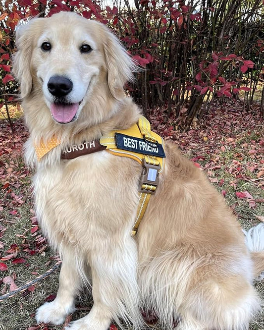 AUROTH Dog Harness and Leash Set, Soft Padded Dog Vest with 5.25FT Dog Leash, No Choke, Easy On Pet Vest, Adjustable Reflective No Pull Dog Harness for Large Dogs, Easy Walking and Training