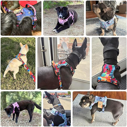 BEAUTYZOO No Pull Dog Harness Large, Adjustable Dog Harness and Leash Set -Easy Wearing with 3 Buckles/Control Handle,No Choke Soft Padded Reflective Pet Vest for Training Walking Hiking,Rose M