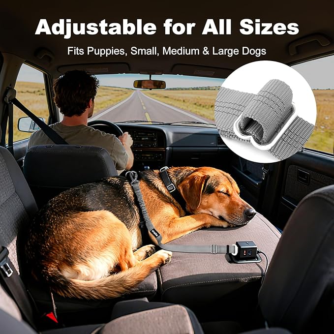 Dog Seat Belt for Car, Adjustable Dog Car Harness Seatbelt for Small Medium Large Dogs, Heavy Duty Travel Safety Restraint with Locking Aluminum Hook & Reflective Nylon Strap, Gray