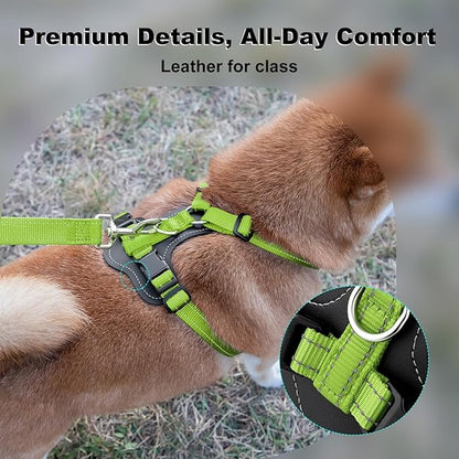 Plutus Pet Adjustable No Pull Dog Harness with Leather Accents, Heavy Duty Reflective Nylon Vest for Training, Hiking, Easy Walk Harness for Small, Medium, Large Dogs (Green, M)