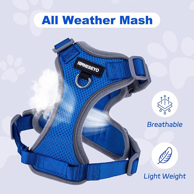 Small Dog Harness and Leash Set, No Pull Adjustable Pet Harness for Small Dogs, Breathable Mesh Rflective Dog Vest Harness (Blue, XXS)