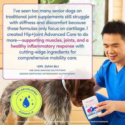 Native Pet Advanced Care - Hip & Joint Supplement for Dogs - Supports Joints, Cartilage, Muscles & Anti-Inflammatory with HMB, UC-II Collagen, Green Lipped Mussel & Hyaluronic Acid - 60 Scoops