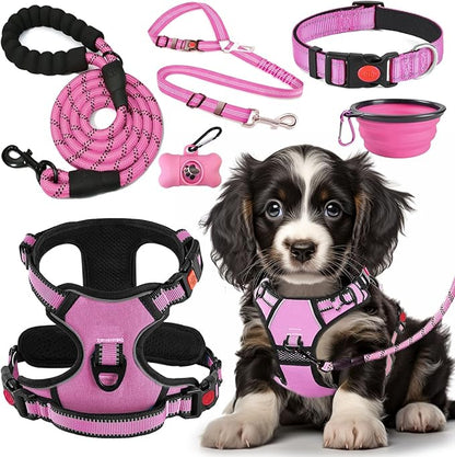 LOBEVE No Pull Dog Harness, Collar & Leash Set | Includes Dog Seat Belt, Collapsible Bowls & Poop Bag Dispenser. Ideal for Training, Walking, Hiking. Fits Small to Large Dogs(Pink-S)