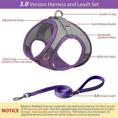 AIITLE No Pull Dog Harness and Leash Set, Step in Adjustable Dog Harness with Padded Vest for All Weather, Dog Leash with Soft Padded Handle, Easy to Put on Small and Medium Dogs Purple S