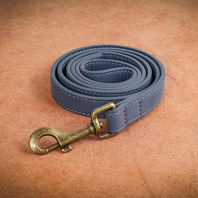 Didog PU Leather Dog Leash, Colorful Dog Leash 4ft, Strong and Durable Faux Leather Lead, Walking and Training Lead for Small Medium Dogs,Blue