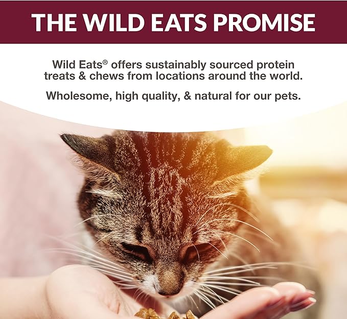 Wild Eats Simply Puree Salmon with Ancient Grains Tub for Cats | 48 Individual Servings | High-Protein, Grain-Enriched Cat Treat | All-Natural, No Artificial Additives | Smooth and Delicious Puree