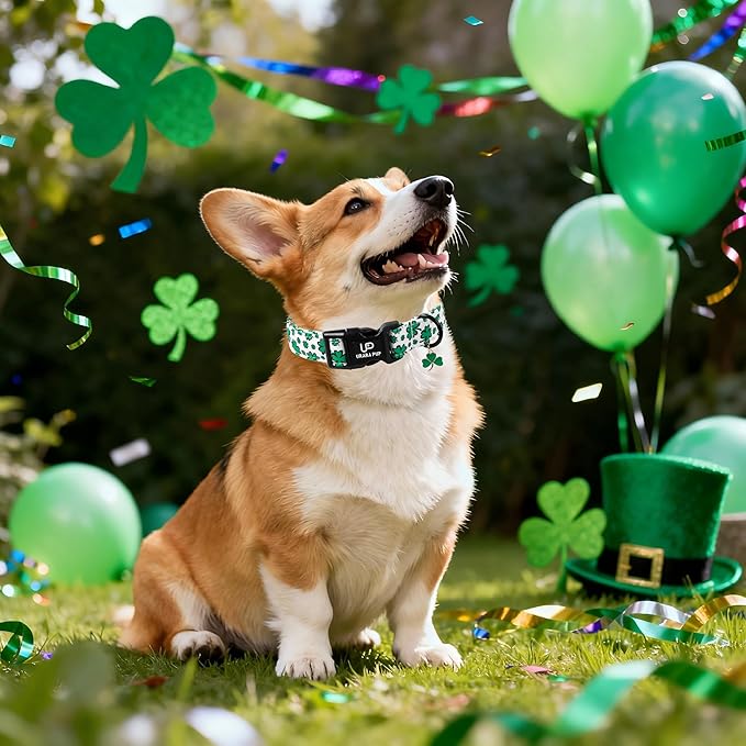 St. Patrick's Day Dog Collar, UP URARA PUP Shamrock Adjustable Pet Collar with Quick Release, Dog Accessories for Small Medium Large Dogs