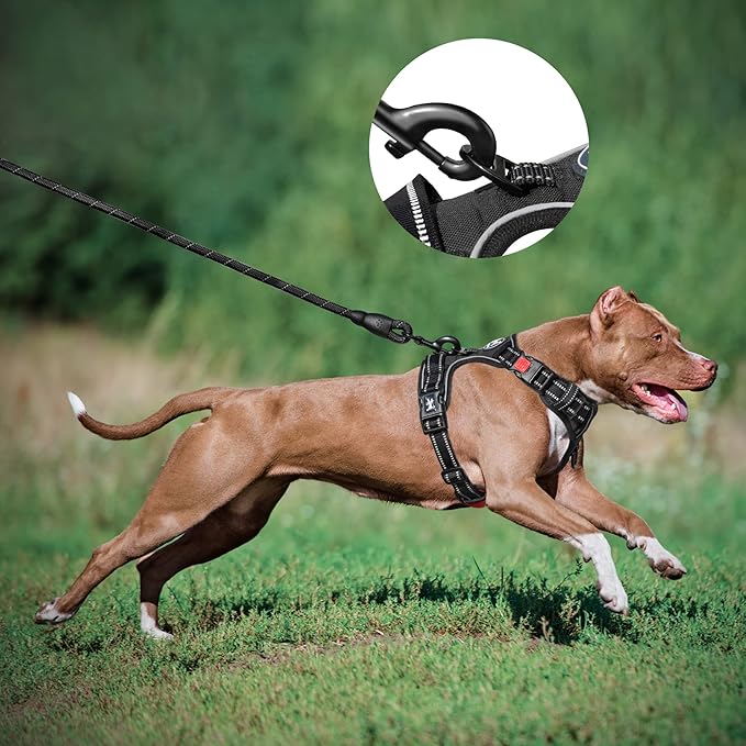 PoyPet Dog Harness and Leash Combo, Escape Proof No Pull Vest Harness, with 5 Feet Leash, Reflective Adjustable Soft Padded Pet Harness with Handle for Small to Large Dogs(Black,M)