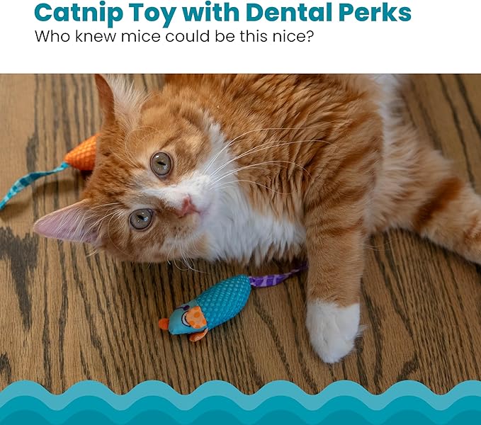 Catstages Catnip Chew Mice 2 Pack– Interactive Dental Cat Chew Toy that Helps Clean Teeth, Mouse, Multicolored