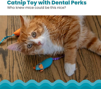 Catstages Catnip Chew Mice 2 Pack– Interactive Dental Cat Chew Toy that Helps Clean Teeth, Mouse, Multicolored