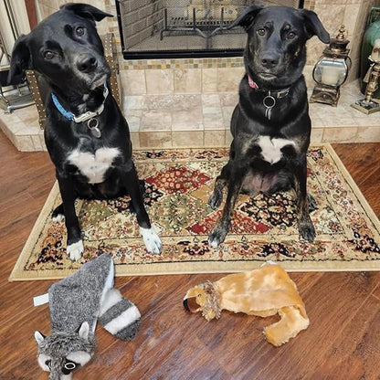 Best Pet Supplies Squeaky Dog Toys with Soft Durable Fabric for Small, Medium and Large Pets Interactive Toy for Indoor Play, Supports Active Biting and Play - Raccoon, Medium