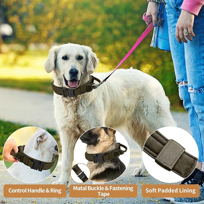 Tactical Military Dog Collar - Adjustable Heavy Duty Metal Buckle Nylon Collar with Control Handle for Small to Large Dogs (Green, L)