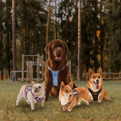 No-Pull Adjustable Dog Harness for Small Dogs,Easy Control with Handle, for Havanese Chihuahua Puggle etc, Inescapable, Ez Walking, Safe Reflective Strips, No Rub,No Choke, Army Green, S