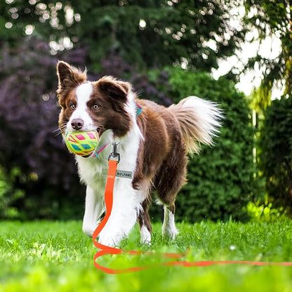 Wolfone 40ft Orange Long Leash - Waterproof Training Dog Leash for Recall, Swimming, Camping, Beach, Hunting, Walking
