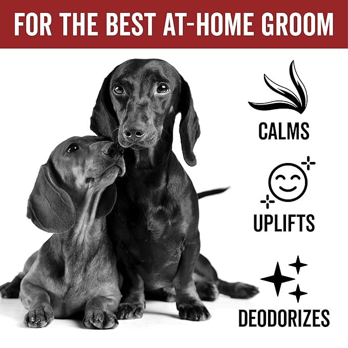 PRIDE AND GROOM DogDays Deodorizing Dog Spray | Long-Lasting Pet Odor Eliminator with Fresh & Clean Scent | Hydrating Dog Cologne & Coat Refresher – 8 fl oz