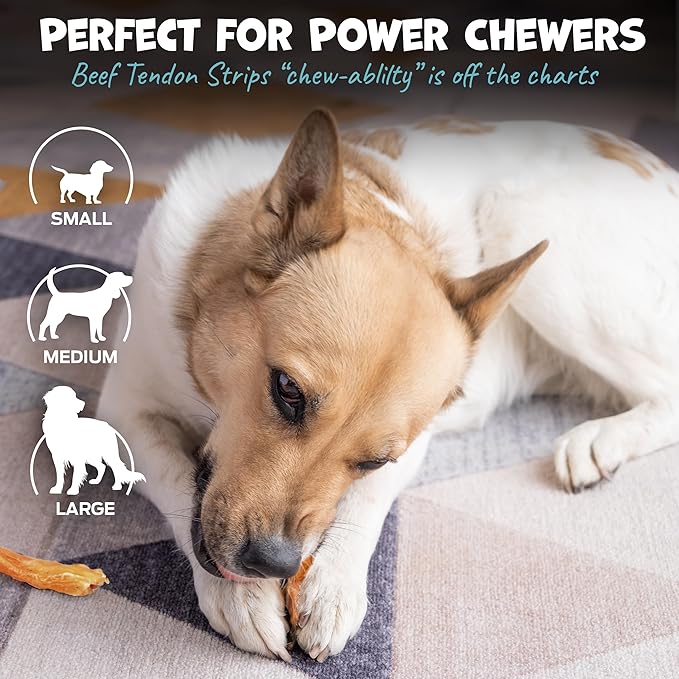 Pack Approved Beef Tendons for Large Dogs & Medium Breeds - Digestible Chews & Dog Treats for Large Dogs - Single Ingredient Dog Chew Sticks - 7-10" (12ct)