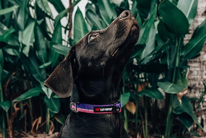 Tuff Pupper Heavy Duty Dog Collar | Tough Dogs Collar | Reflective Collars with Aluminum D-Ring Leash Clip | Separate ID Tag Attachment Keeps Engraved Dog Tags Quiet | Easy Sizing for All Breeds