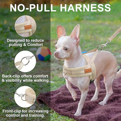 BEAUTYZOO Dog Harness for Small Dogs, No Pull Dog Harness and Leash Set, Soft Escape Proof Puppy Vest Harness with Handle, Reflective Lightweight Step in Harness for Girl Boy Dogs, Beige XS
