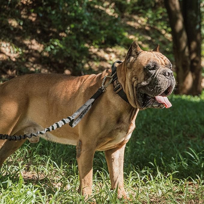 EXCELLENT ELITE SPANKER Tactical Dog Collar Military Adjustable Heavy Duty Training Dog Collar with Metal Buckle and Control Handle(Coyote Brown)
