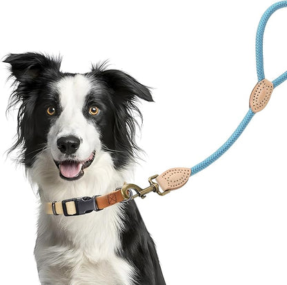Mile High Life Short Dog Leash, Short Leash for Large Dogs, Reflective Dog Lead with w Leather Tip, Heavy Duty Leash for Large and Medium Dogs Training and Walking(Green, 18 Inch)