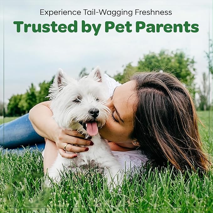 Unscented Dog Wipes for Cleaning & Deodorizing - XL, Thick & Hypoallergenic Pet Wipes for Dogs Paws, Butt and Body - Made with Naturally Safe Ingredients Like Aloe Vera (160 Count)
