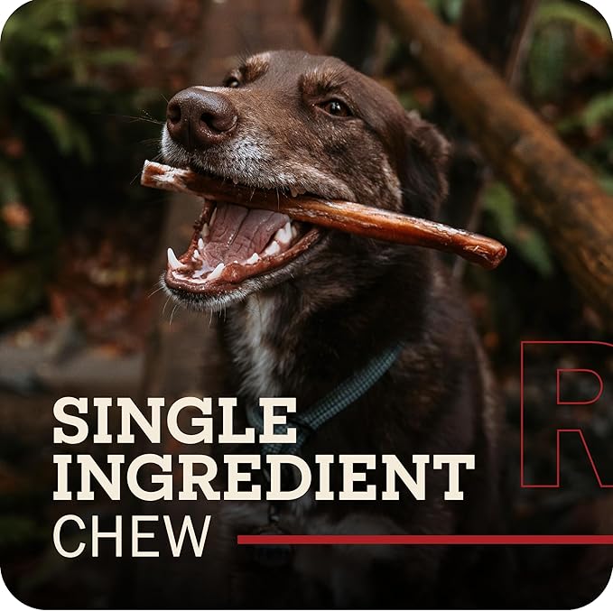 Redbarn Braided Bully Sticks 5" Dog Treats, 5-in chew, case of 30