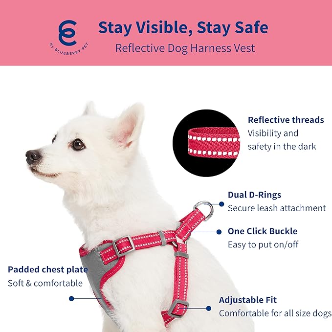 Blueberry Pet Pastel Colored Reflective Dog Harness with Seatbelt Clip – Adjustable No-Pull Pet Vest for Walking and Car Safety, Small Size in Very Berry