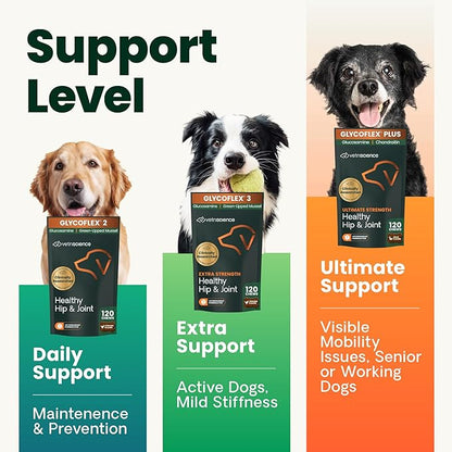 VetriScience Ultimate Strength Healthy Hip & Joint Chews, GlycoFlex Glucosamine, Chondroitin and Green-Lipped Mussel Joint Support Supplement for Dogs, Soothe Joint Discomfort, Duck, 60 Count