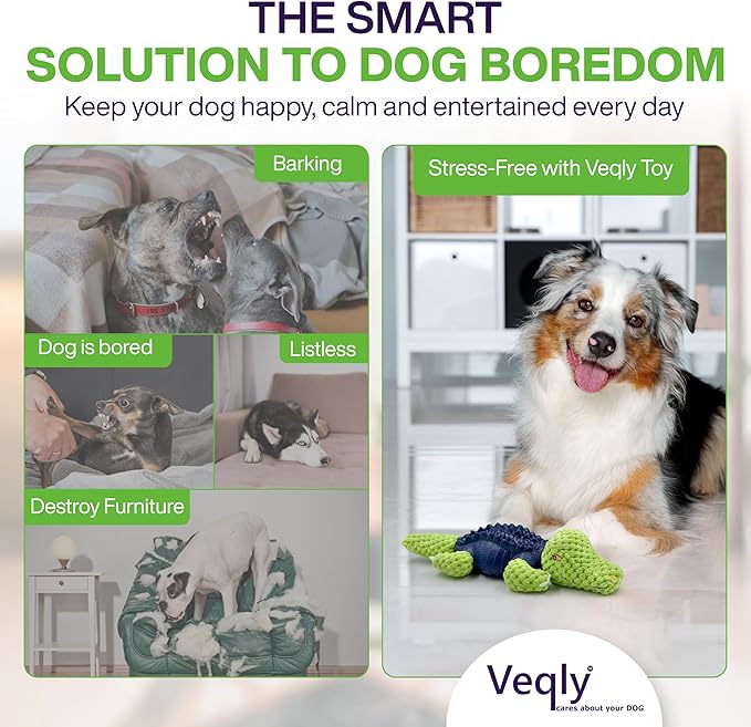 Dog Chew Toys for Small and Medium Breeds, Squeaky Dog Toys Plush, Interactive Dog Toys to Keep Them Busy, Alligator Dog Puzzle Toy, Dogs Dental Chew, Beef Flavored Chew Toy, Dogs Birthday Toy- Green