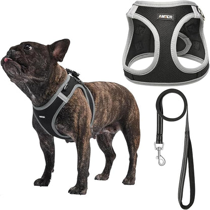 AMTOR Small Dog Harness with Leash Set, No Escape Easy Walk Puppy Harnesses for Training Walking, Step-in Reflective Soft Dogs Vest for XS S Medium Extra-Small Large Sized Dog(XS,Black/Grey)
