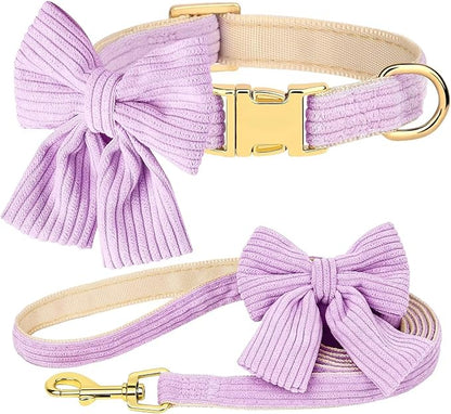 Didog Cute Dog Collar and Leash Set with Bowtie, Girl Dog Collars Metal Buckle Adjustable for Small Medium Dogs(Purple, M)