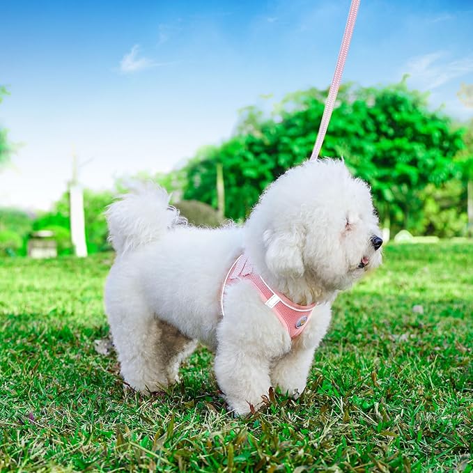 Hipubby Dog Harness and Leash Set, No Pull Soft Mesh Puppy Harness for Small Medium Dogs, Cats - Step in Reflective Breathable Lightweight Vest Harness for Walking, Training - Pink, L