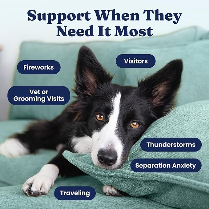 Solid Gold Calming Chews for Dogs - Dog Calming Chews W/Melatonin for Separation, Stress & Hyperactivity Relief - Supports Relaxation for Travel, Fireworks & Storms - All Ages & Sizes - Bacon - 60ct
