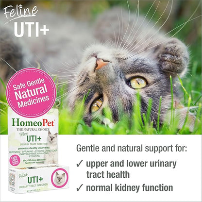 HomeoPet Feline UTI+, Safe and Natural Urinary Tract Supplement for Cats, Feline Urinary Tract Support, 15 Milliliters