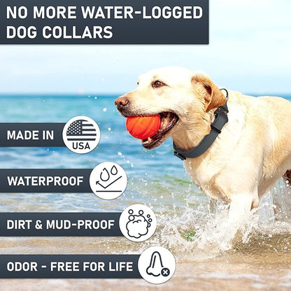 NexaPaw Biothane Dog Collar with Cobra Buckle - Made in USA - QR Code Dog Tag ID Included - Adjustable Heavy Duty Dog Collars for Medium Large Dogs - Waterproof Military Grade Tactical Collar for Dogs