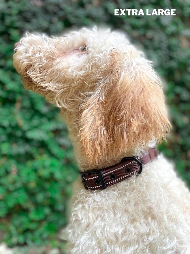 Tuff Pupper Heavy Duty Dog Collar with Handle | Ballistic Nylon Heavy Duty Collar | Padded Reflective Dog Collar with Adjustable Stainless Steel Hardware | Convenient Sizing for All Breeds