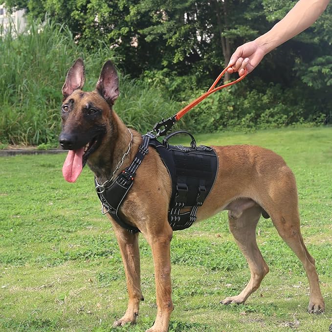 ICEFANG Short Dog Leash 25Inch Reflective Nylon Traffic Leash with Padded Handle,Heavy Duty Auto Lock Swivel Clip for Medium Large Dogs No Pull Training Walking (Orange, 25 Inch)
