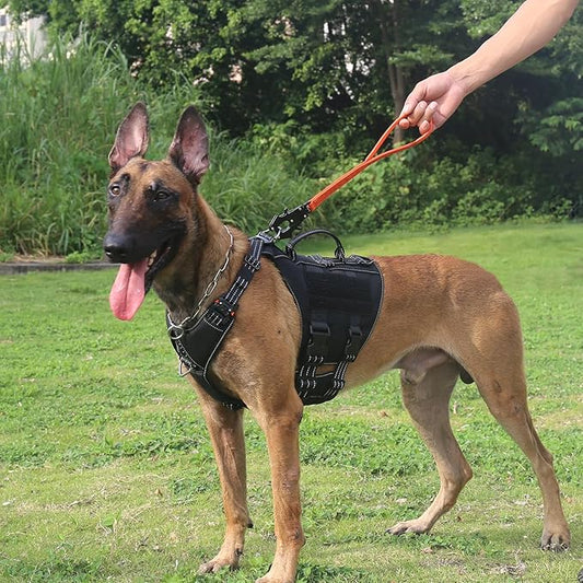 ICEFANG Short Dog Leash 18 Inch Reflective Nylon Traffic Leash with Padded Handle,Heavy Duty Auto Lock Swivel Clip for Medium Large Dogs No Pull Training Walking (Orange, 18 Inch)