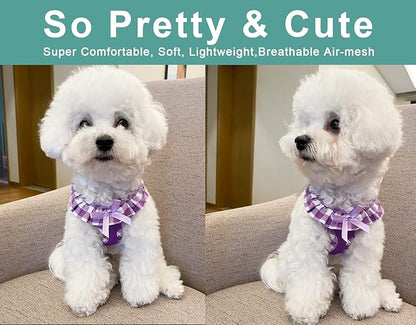 SuperBuddy Upgraded Soft Mesh Dog Harness, Super Breathable Lightweight Pet Harnesses for Puppy Dogs Outdoor Walking, Purple Dog Harness and Dog Leash Set Packing -Large