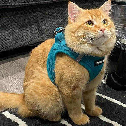 Best Pet Supplies Voyager Step-in Air Harness - All Weather Mesh, Reflective, No Pull Harness for Dogs, Cats - Secure with Hook & Loop Fastener, Buckle, Double D-Rings - Turquoise, M