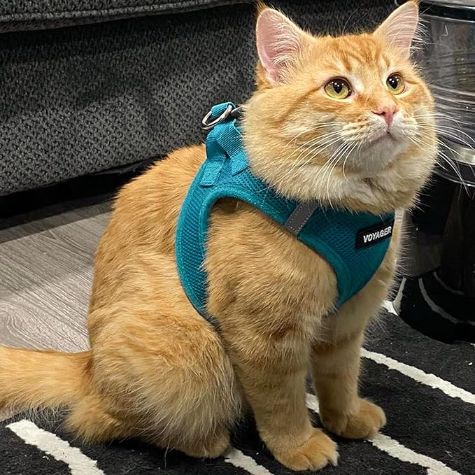 Best Pet Supplies Voyager Step-in Air Harness - All Weather Mesh, Reflective, No Pull Harness for Dogs, Cats - Secure with Hook & Loop Fastener, Buckle, Double D-Rings - Turquoise, S