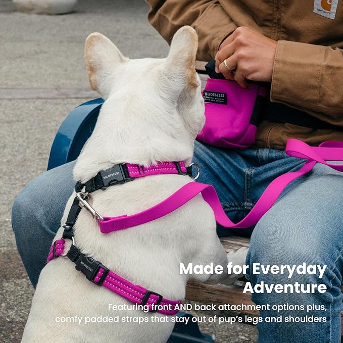 Wildebeest Valencia No Pull Dog Harness | Front and Back Leash Clips | Soft Padded Straps | Lightweight, Adjustable, Easy On/Off for Training and Dog Walking | X-Small Fuchsia