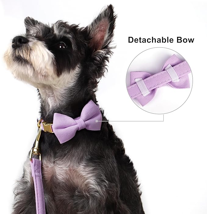 Beirui Adorable Small Dog Harness Collar Leash Set,Cute Puppy Harness with 3 Bows for XS Dogs,Yorkie,Adjustable Step-in Vest for Walking,Parties&Holiday Outfits(Purple,XS)